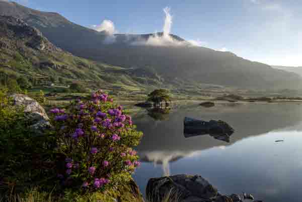 This is a beautiful image of the Black Valley lake in county Kerry, Ireland. Here, resting obscurely among the many hills and mountains is this hauntingly beautiful lake. This area represents the people and the environment from which Donnta comes.